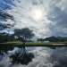 <h2>The Best of South Africa Escorted 2023</h2> 14 Nights | 6 Rounds | March 11 - 25