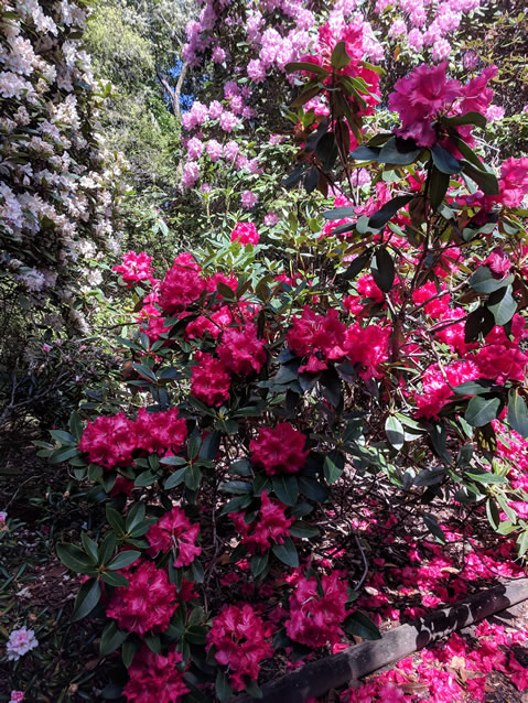 <h2>The Best of New Zealand Escorted 2018</h2>Taupo, Napier, Wellington & Queenstown